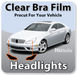 Freightliner Window Tint